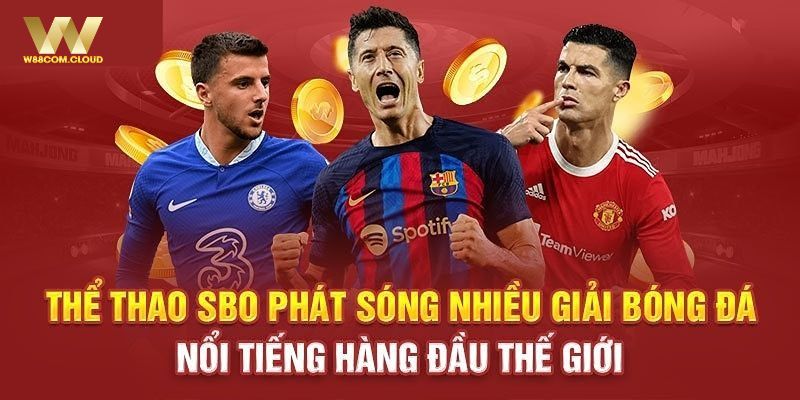 Các bộ môn cá cược nổi bật tại SBO thể thao